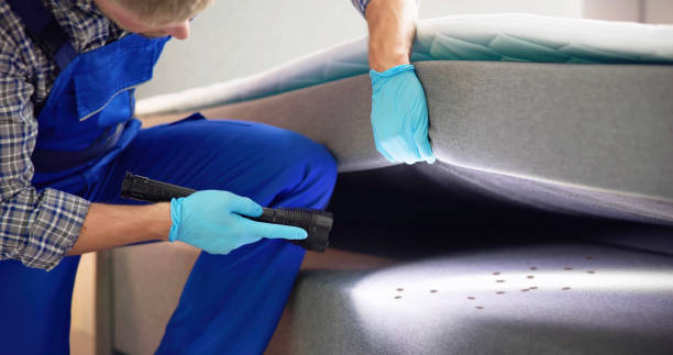 Best Bed Bug Extermination  in Burley, WA